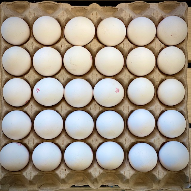 ägg4