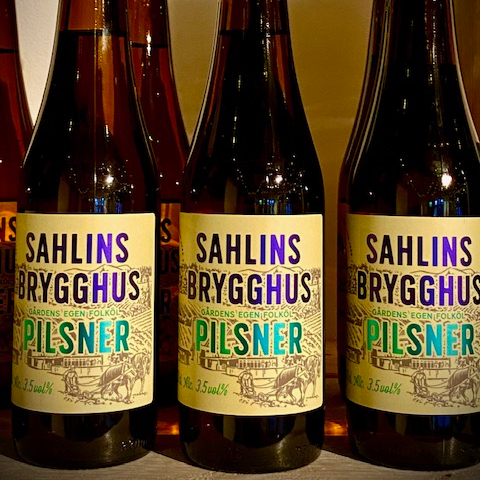 sahlins___serialized1